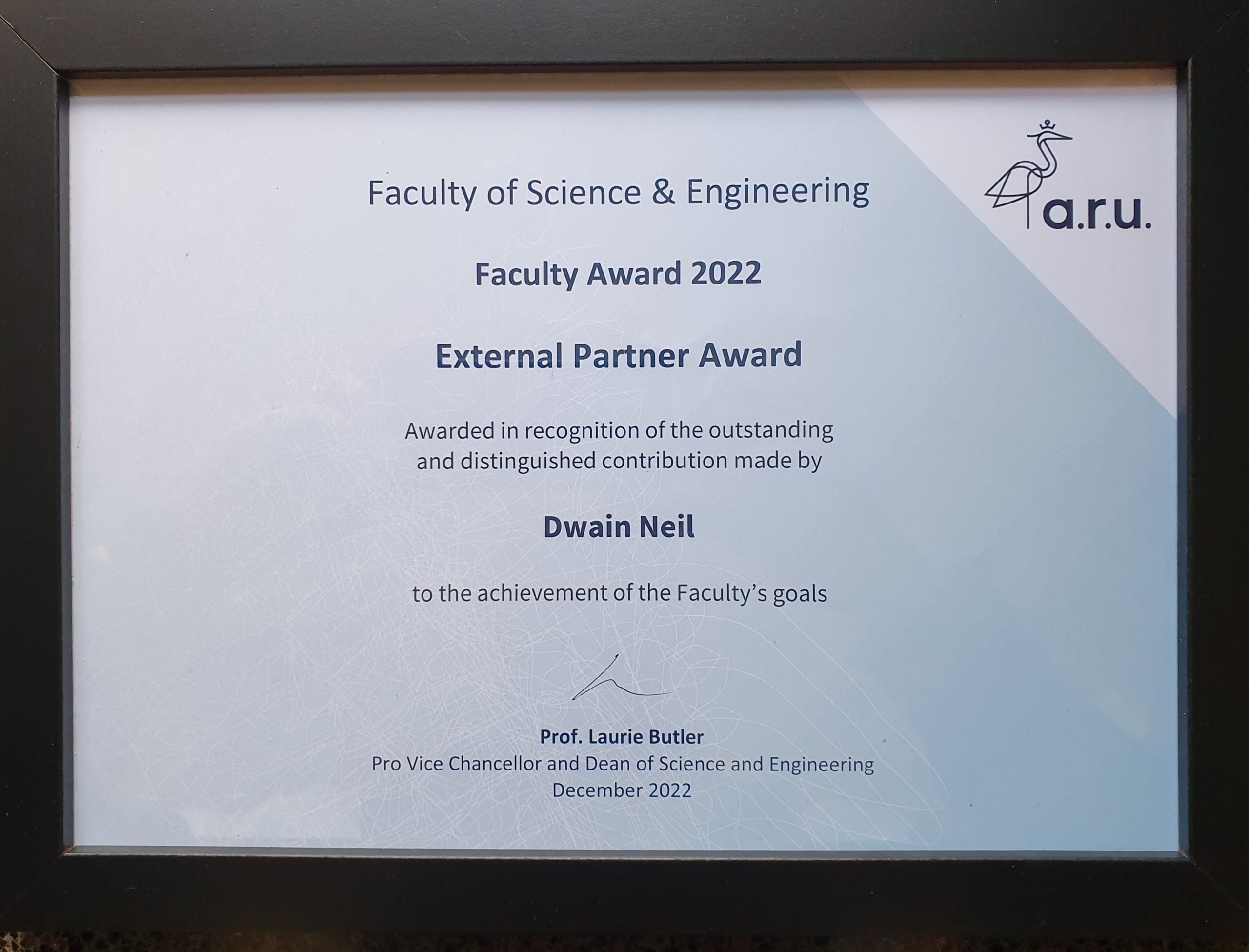 External Partner Award